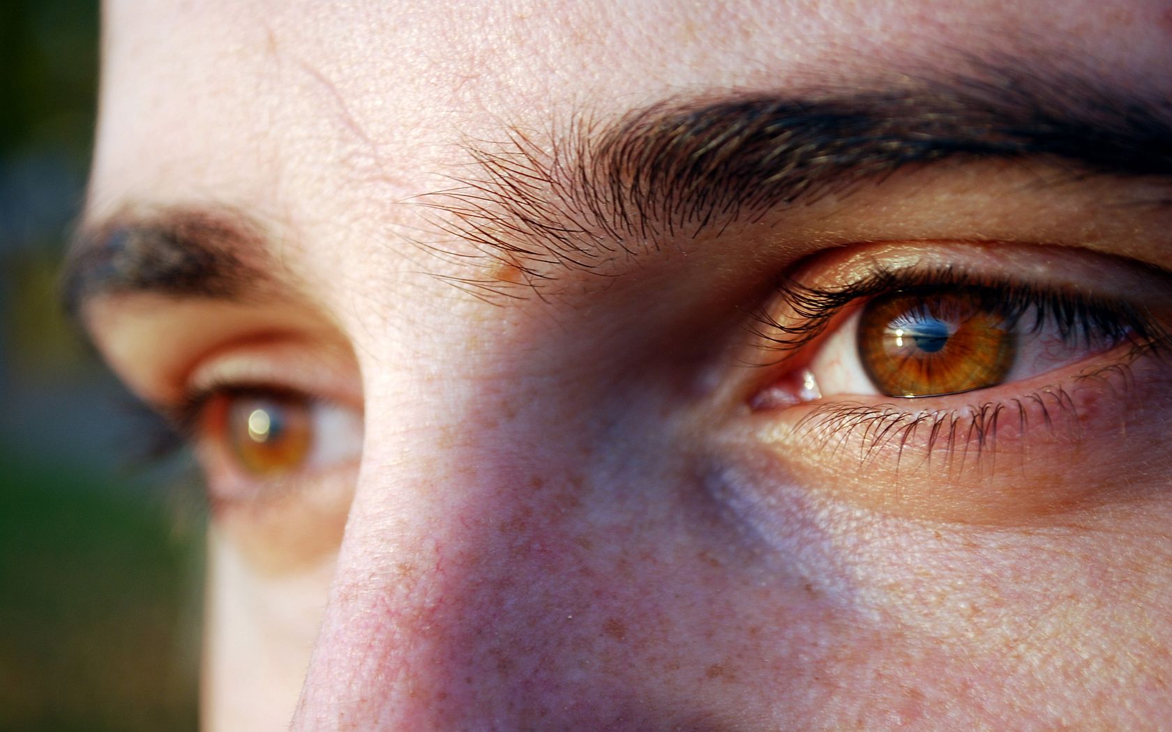 Резкий глаза. Карие глаза мужские. Красивые карие глаза мужские. Коричневый глаз мужской. Янтарные глаза мужские.